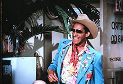 Oh, un cow-boy Huggies !!!